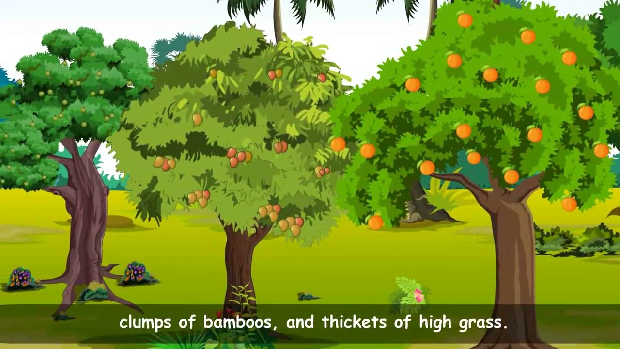 Rikki - Tikki - Tavi | English Story by Blueprint Digital | Class 7