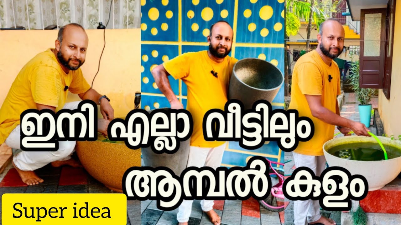 വീട്ടിൽ ഉണ്ടാക്കാം വെളളച്ചാട്ടം , എല്ലാ വീട്ടിലും ആമ്പൽ കുളം