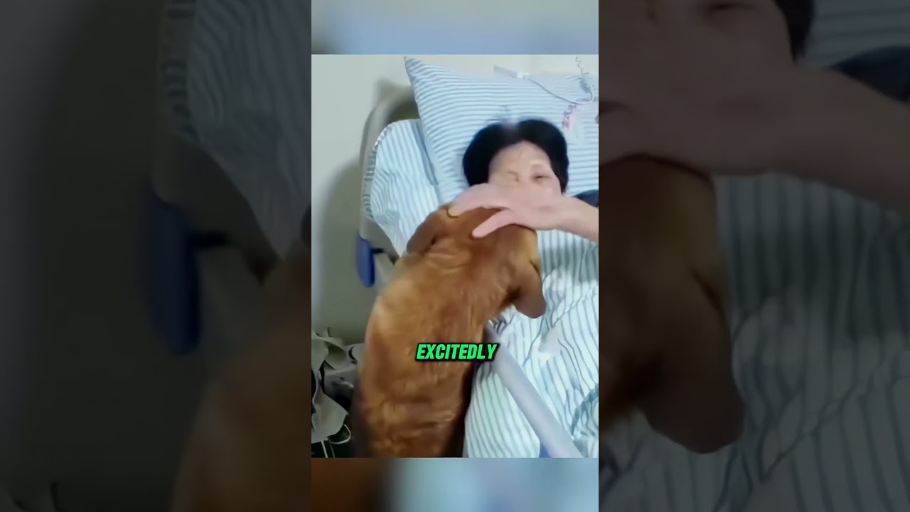 #story #touchingstories #cute #amazing #wildlife #animals #heartwarming #dog