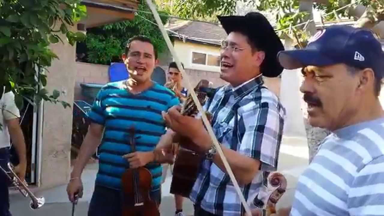Camino Real de Colima-Mariachi Nuevo Tamazula
