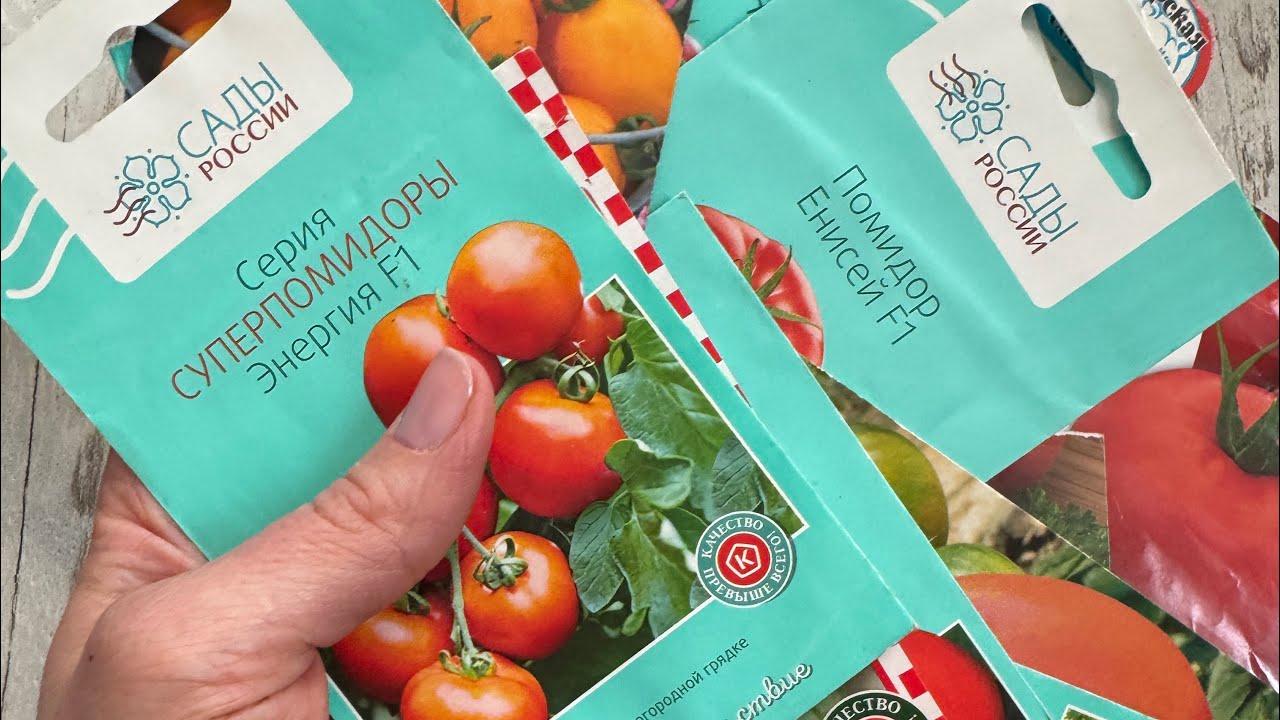 Какие семена томатов 🍅 посадить на рассаду?