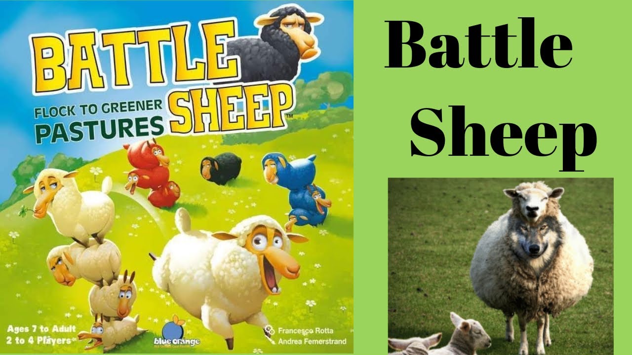Battle Sheep! Board Game Arena Playthrough - The Lambshank Redemption