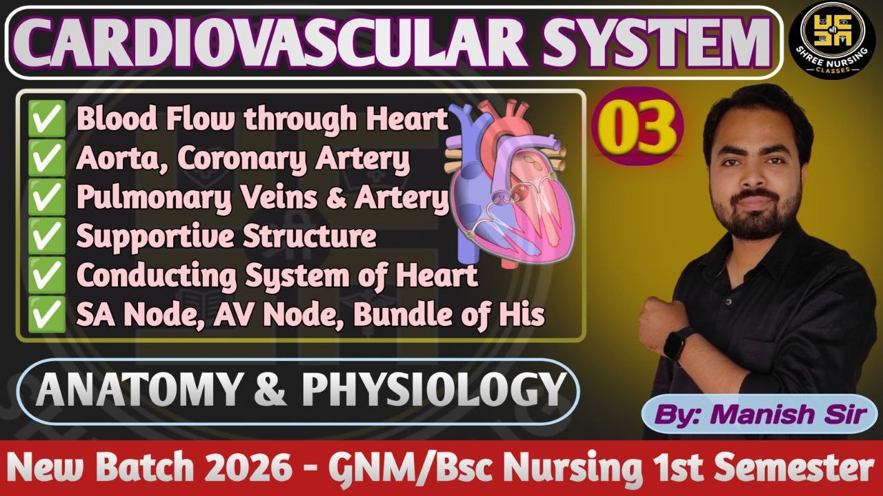 Part- 03 l Cardiovascular System | Blood Flow Through Heart | SA Node, AV Node, Bundle of His | SNC
