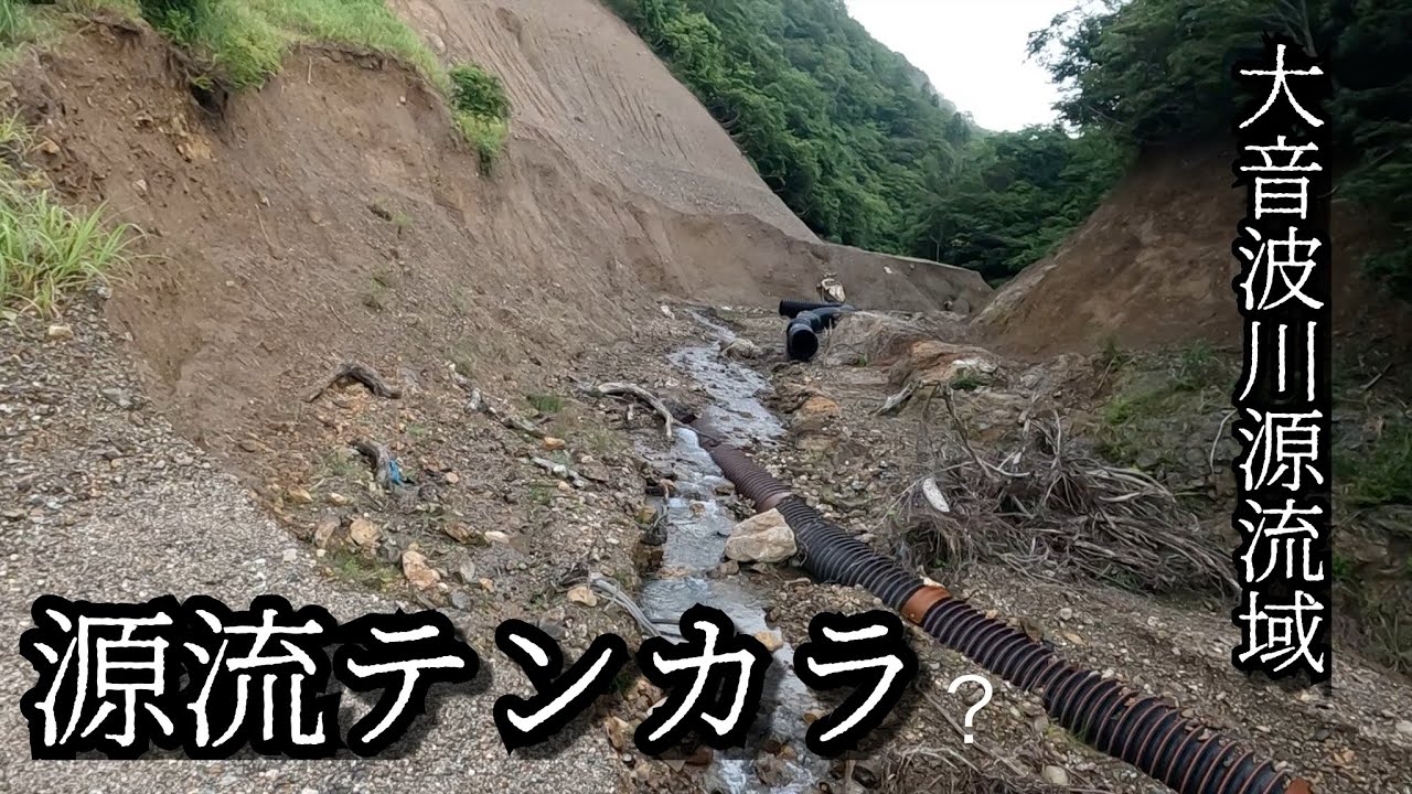 滋賀県 丹生川漁協「大音波川源流域」【源流テンカラ】