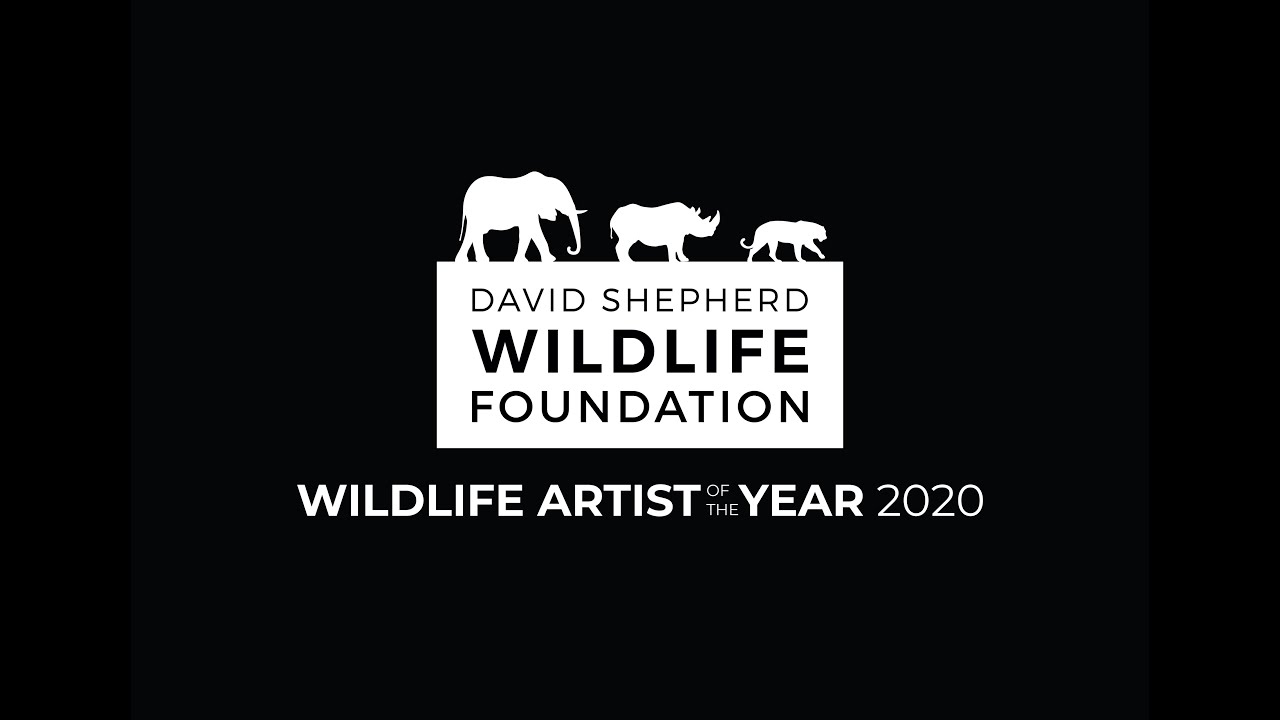 Wildlife Artist of the Year 2020