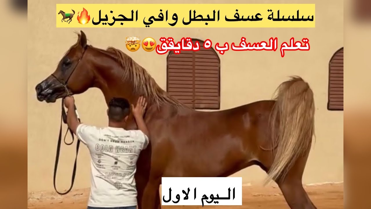 سلسلة عسف | اليوم الأول | شغل أرضي داخل الغرفة