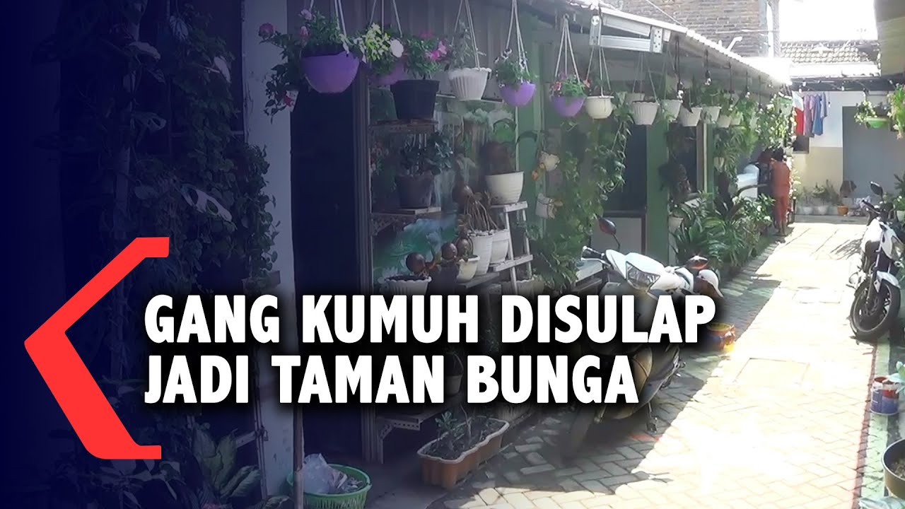 Warga Sulap Gang Kumuh Menjadi Indah dan Penuh Bunga