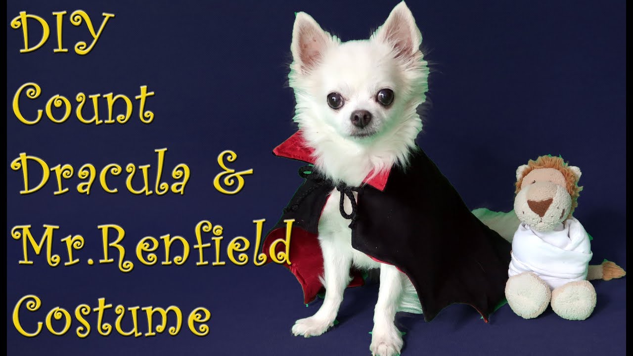 DIY Dog Dracula Costume & Mr.Renfield's Straitjacket