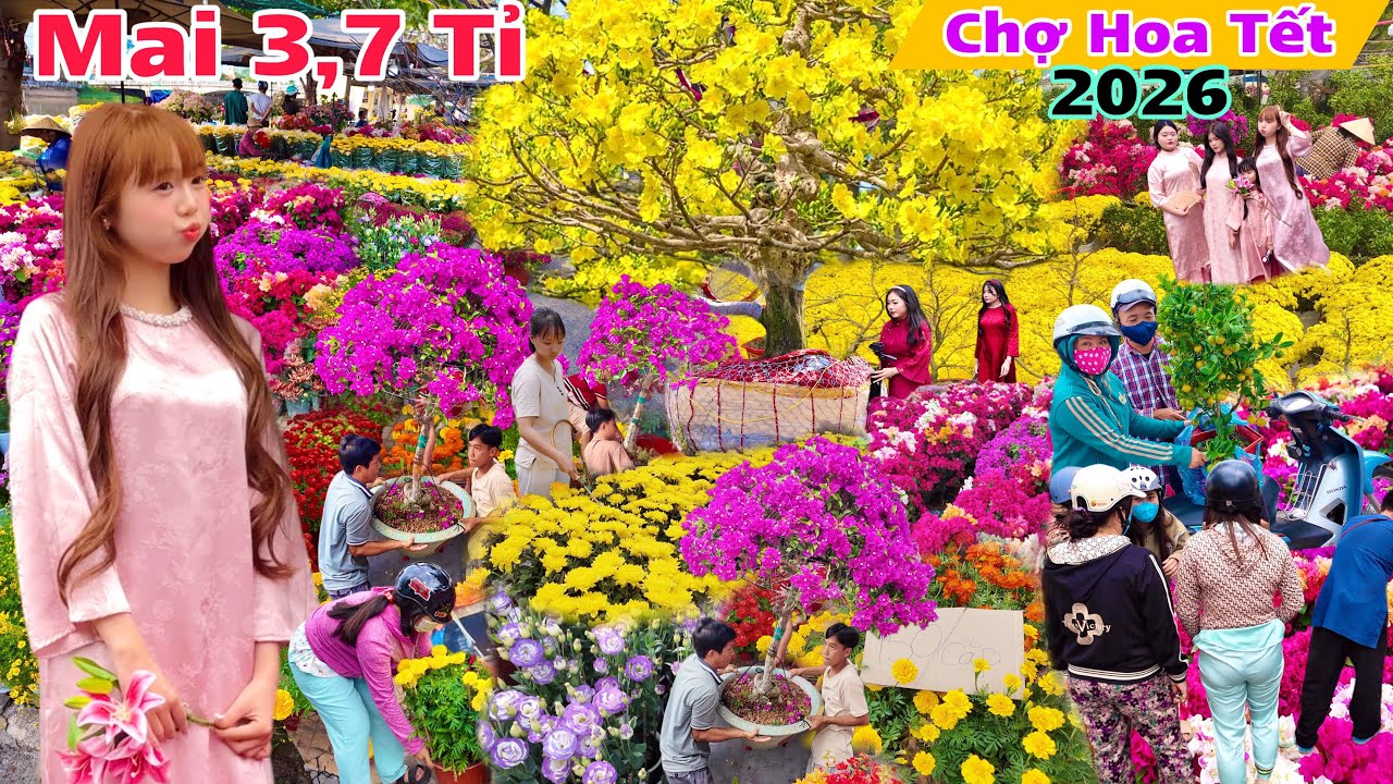 Chợ Hoa Tết 2026 Long Xuyên An Giang 