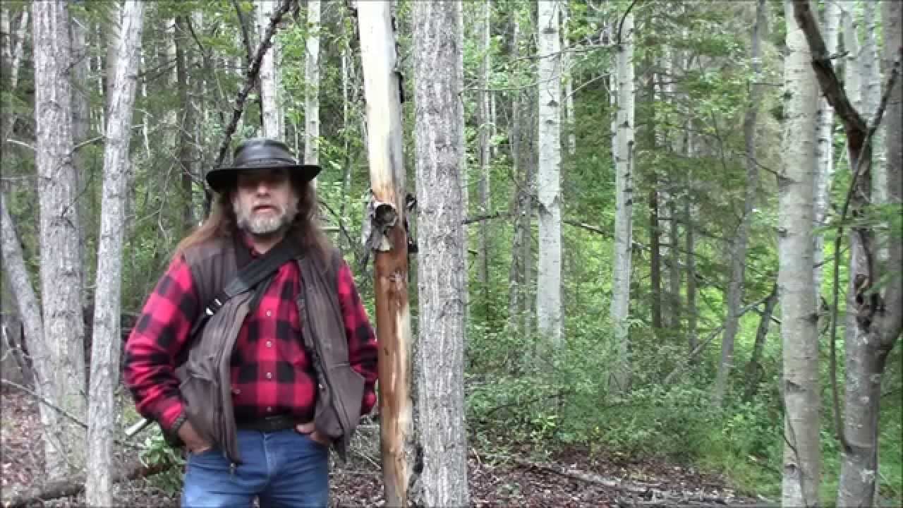 Fall A Tree With Just A Knife