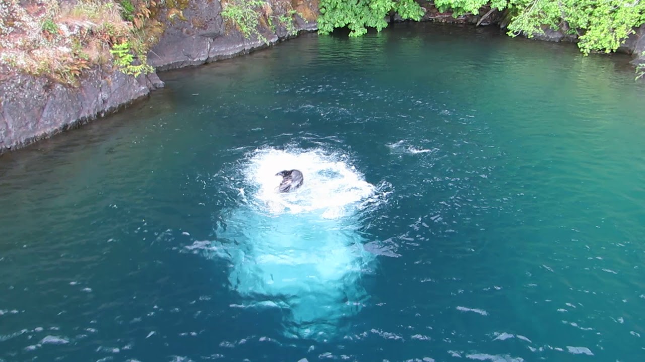 Random folks jumping in the Devil's Punchbowl