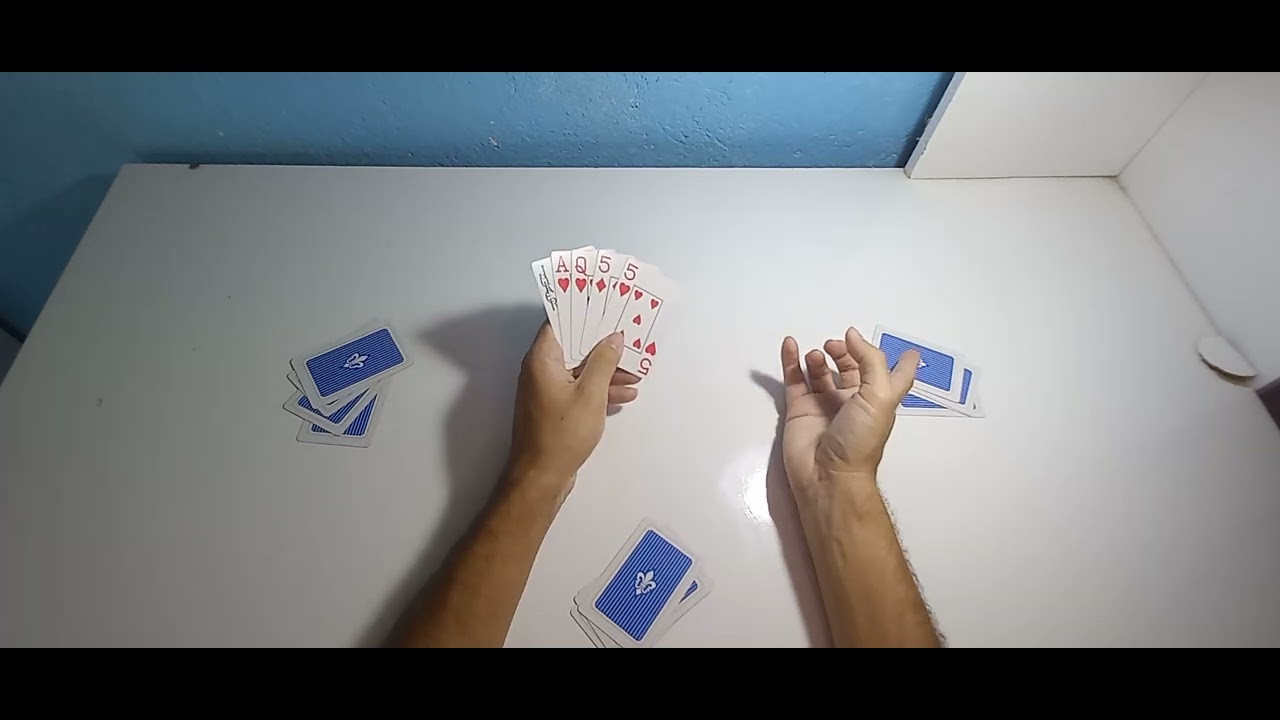 COMO JOGAR O JOGO DO PORCO