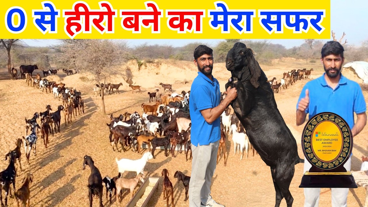 ईमानदार किसान ने बताई बकरी पालन की सच्चाई ll Bakri Farm ll Goat Farm Business ll Bakri Farming