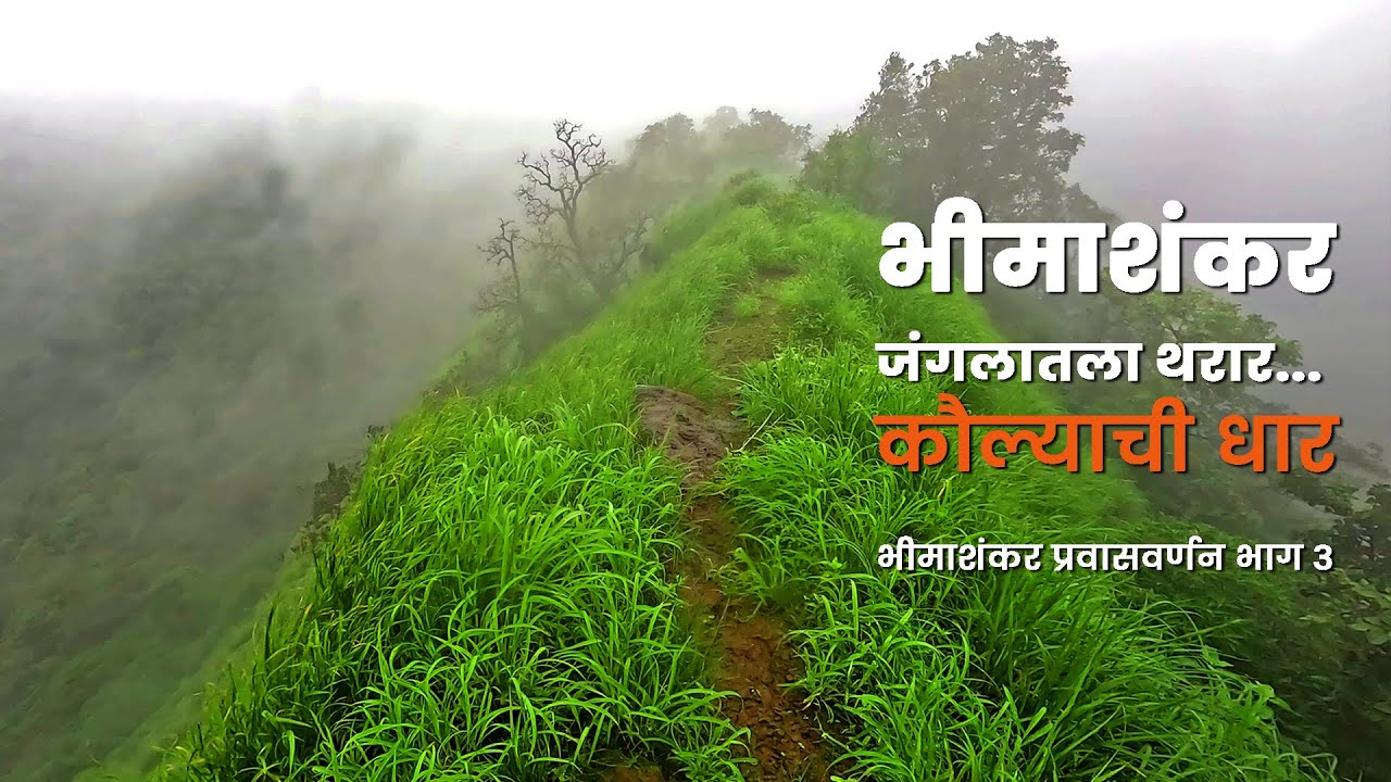 भीमाशंकर जंगलातला थरार... कौल्याची धार | Bhimashankar Part 03 | भीमाशंकर प्रवासवर्णन भाग 03