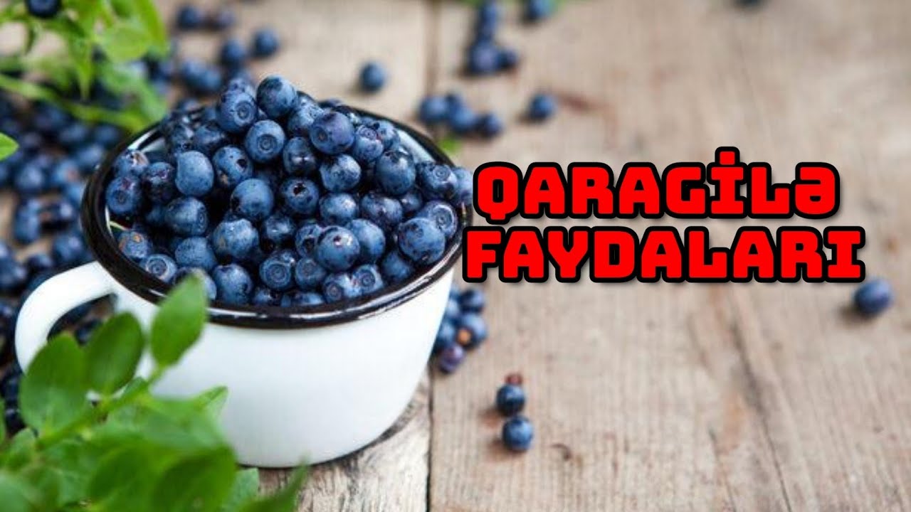 Qaragilə faydaları ( &ccedil;ernika )