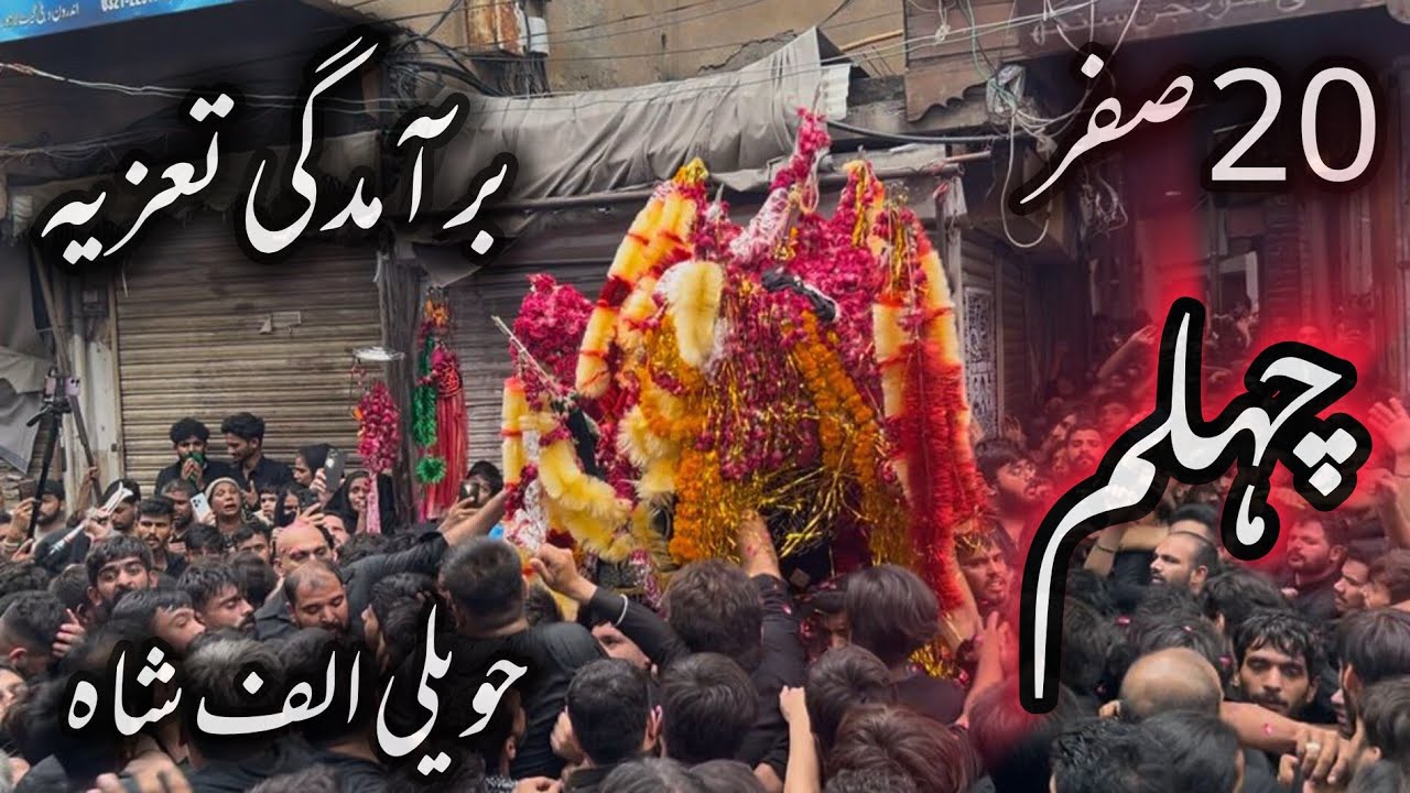 Baramdagi Taziyah Chehlum Imam Hussain a.s | 20 Safar 2025 | Haveli Alif Shah Delhi Gate #foryou 