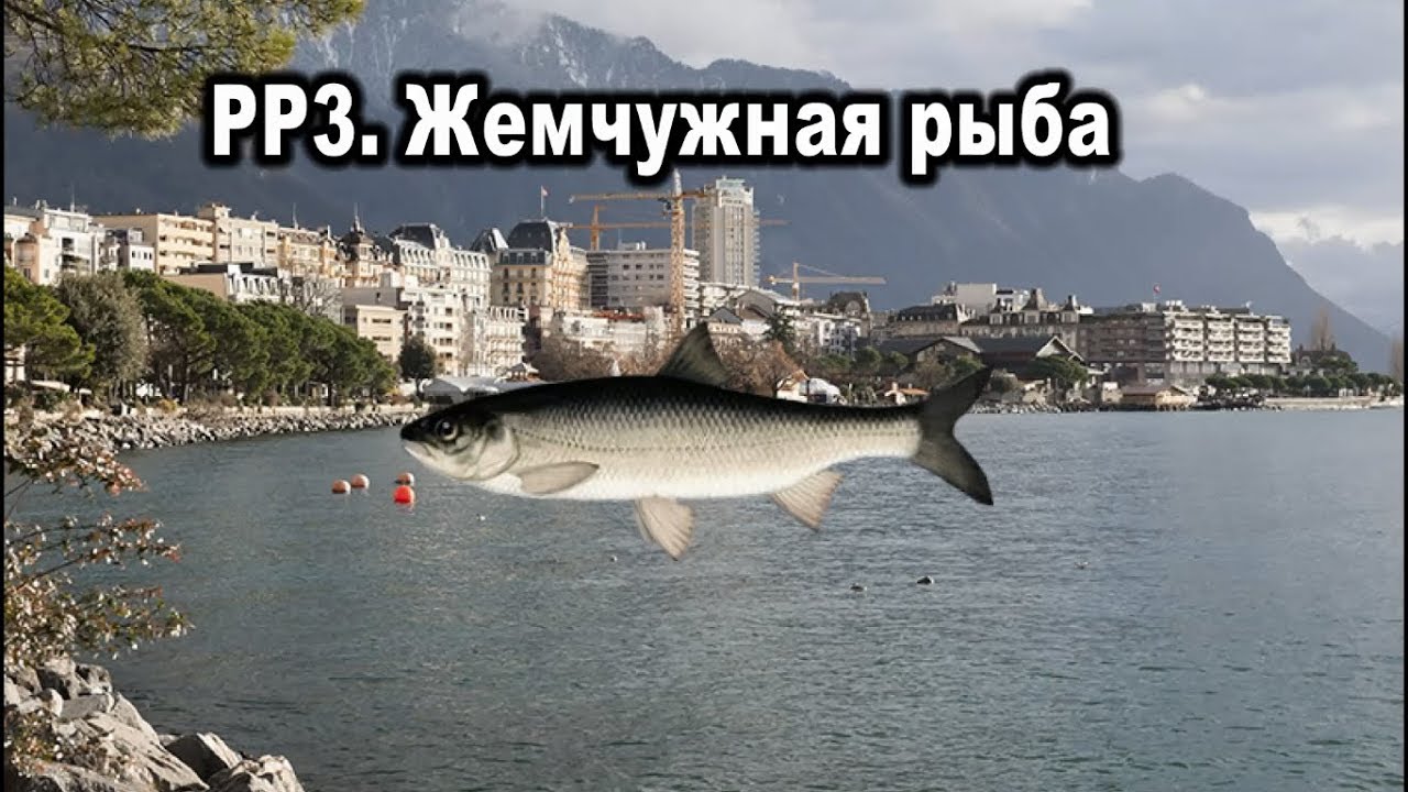 Русская рыбалка 3. Жемчужная рыба. Редкости