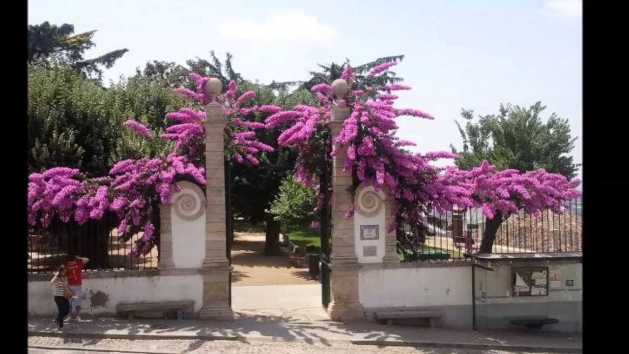 Hino a Penamacor (em imagens) - Telmo Montenegro