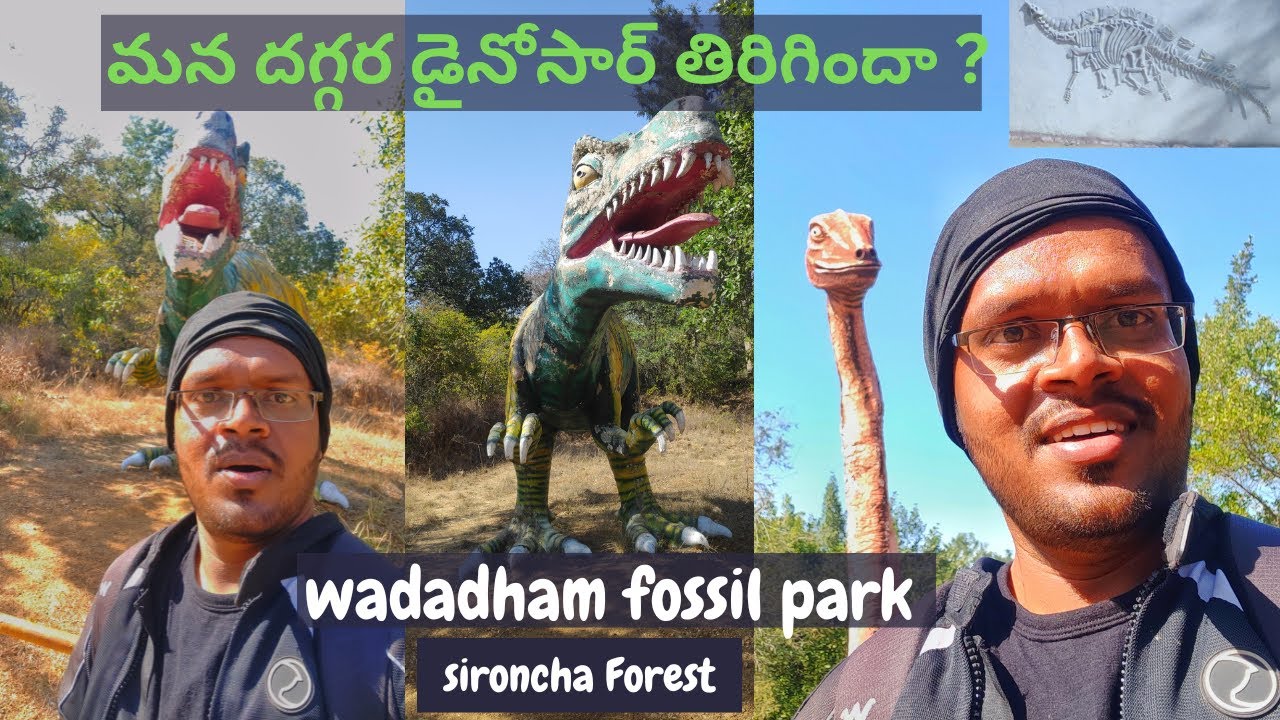 Dinosaurs తిరిగిన ప్రాంతం | Wadadham Fossil Park Srioncha Forest | Telugu Motovlogger #dinosaurpark