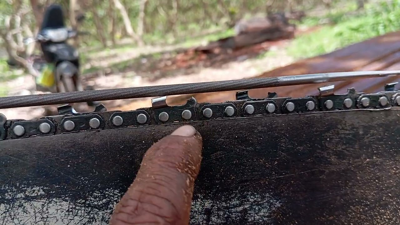 របៀបឆាបច្រវាក់ អាឈើរឹង