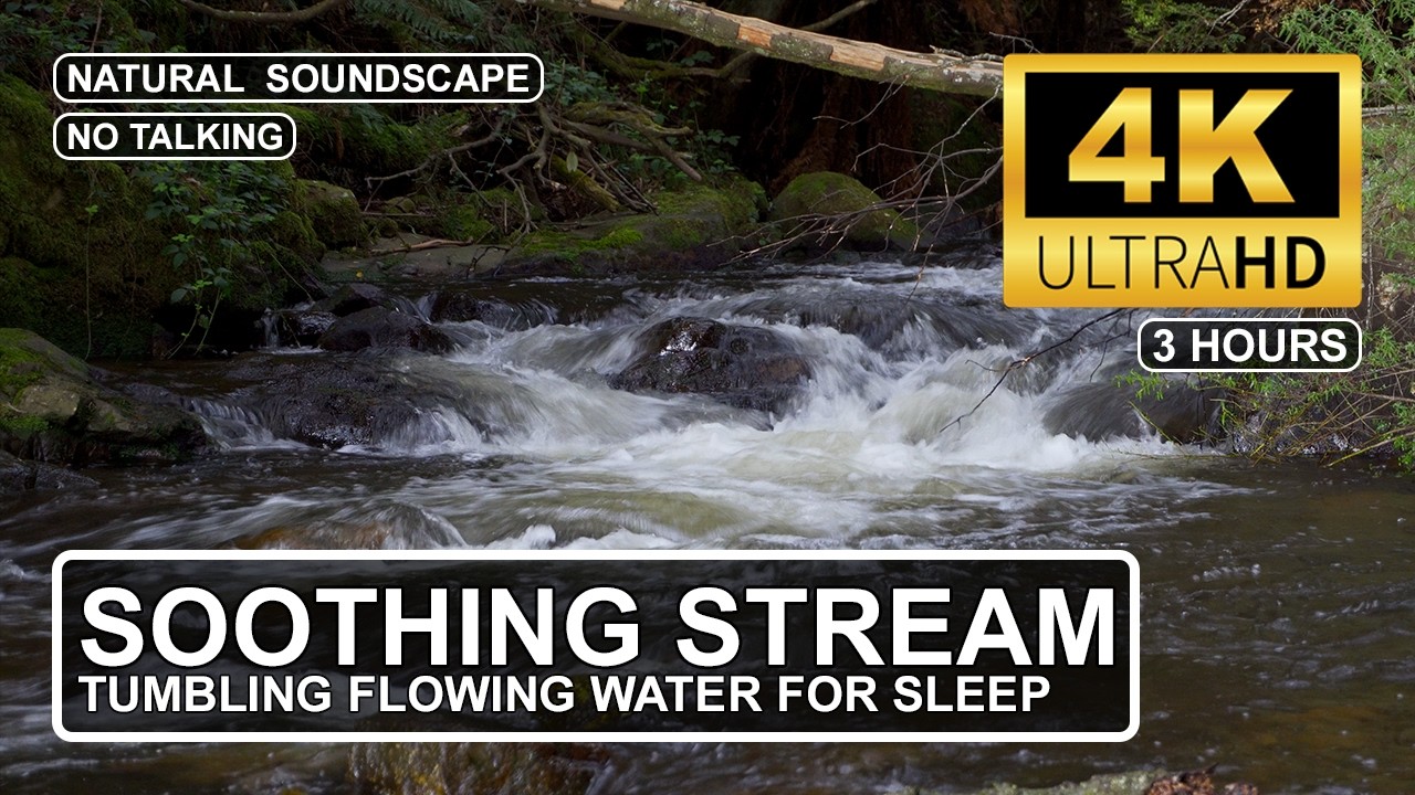 3 Hours Soft Soothing Forest Stream Tumble | Natural ASMR Flowing Water White Noise for Deep Sleep