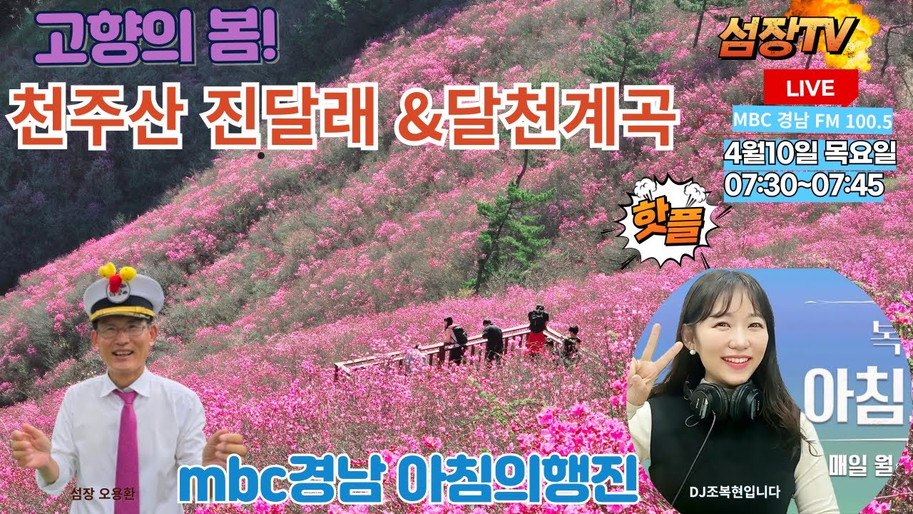 [창원가볼만한곳] 이원수 선생의 고향의 봄 창작 배경지  천주산 진달래와 달천계곡  벚꽃 터널