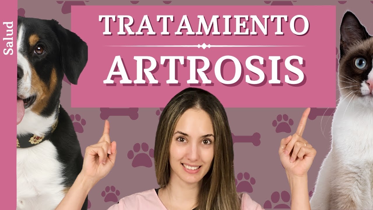 ¿Cómo aliviamos su DOLOR? | Opciones de TRATAMIENTO para la ARTROSIS