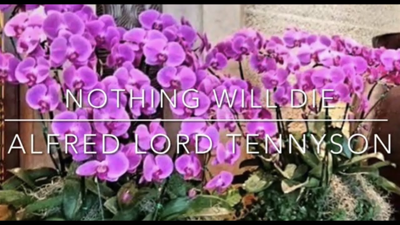 Nothing Will Die | Alfred Lord Tennyson | #life #nature #seasons #optimism