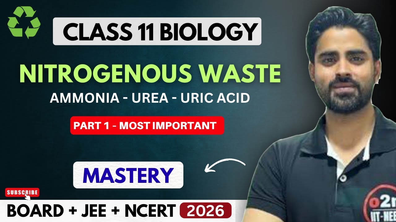 Nitrogenous Waste Products Explained | Excretory Products & Their Elimination NEET Class 11