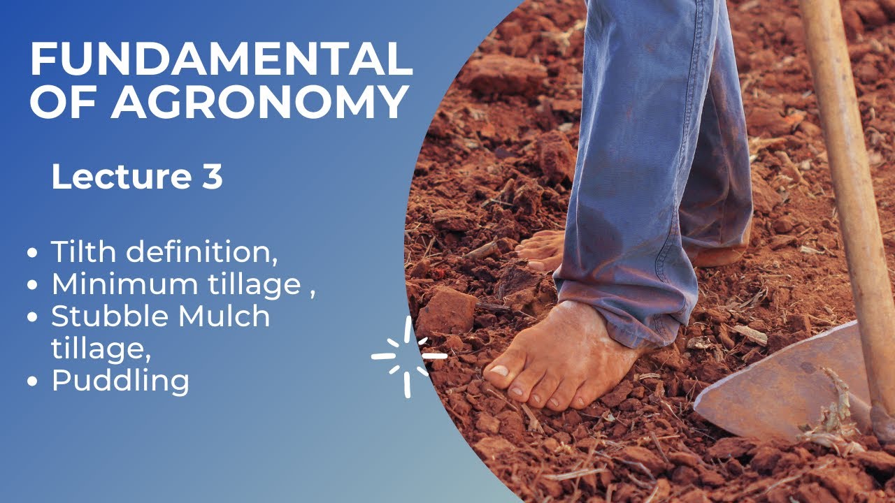 FUNDAMENTAL OF AGRONOMY # LEC 3 Tilth definition, Minimum tillage , Stubble Mulch tillage, Puddling