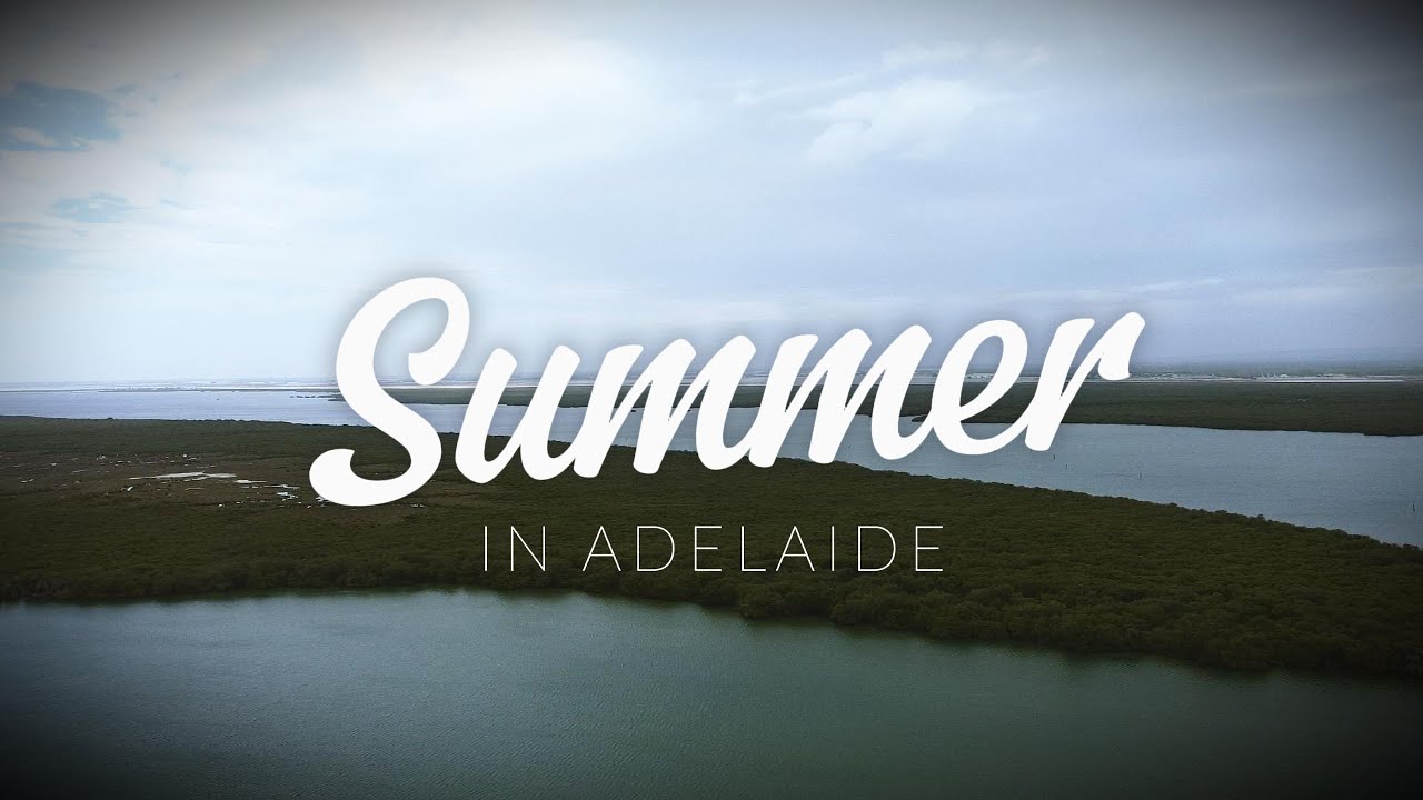 🐬 Adelaide Dolphin Sanctuary Drone Footage &ndash; A Magical Wildlife Haven! 🚁