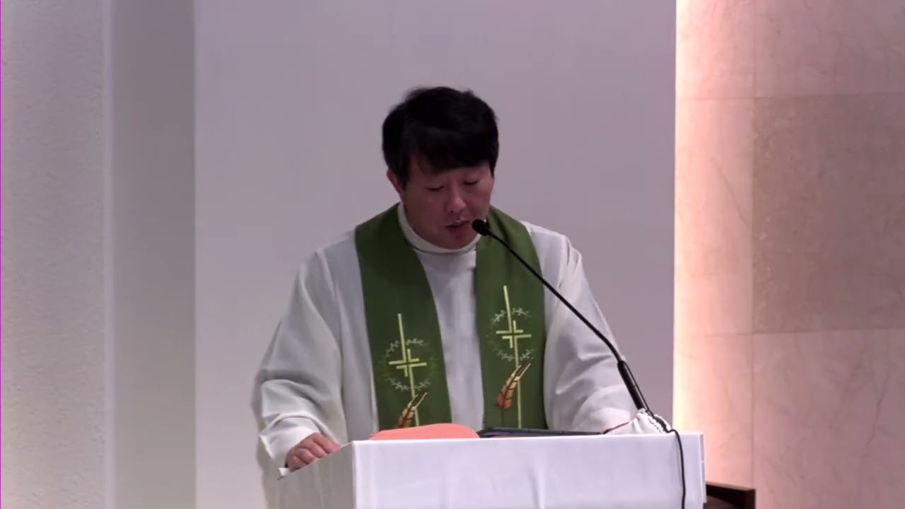[주일 저녁미사 강론] 무엇을 보고 어디를 향해 가고 있나요? 하느님 말씀은 예수님을 따라가게 해 줍니다.  연중 제3주일. 25.01.25./ 김재덕 베드로 신부