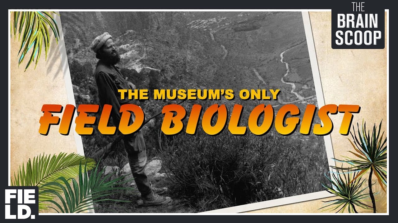 Meet the Museum's only Field Biologist