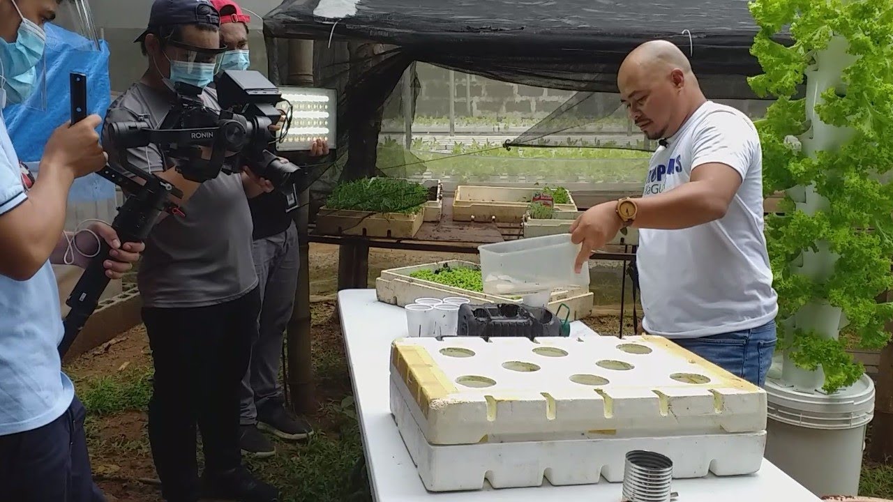KRATKY METHOD I BIGNNERS GUIDE I FULL LECTURE #kagulay