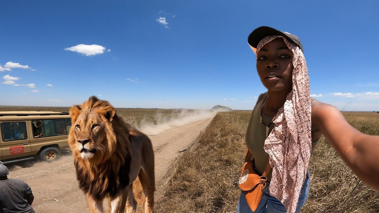 World's Dangerous Roads | Stuck in the Serengeti with wild animals 🇹🇿