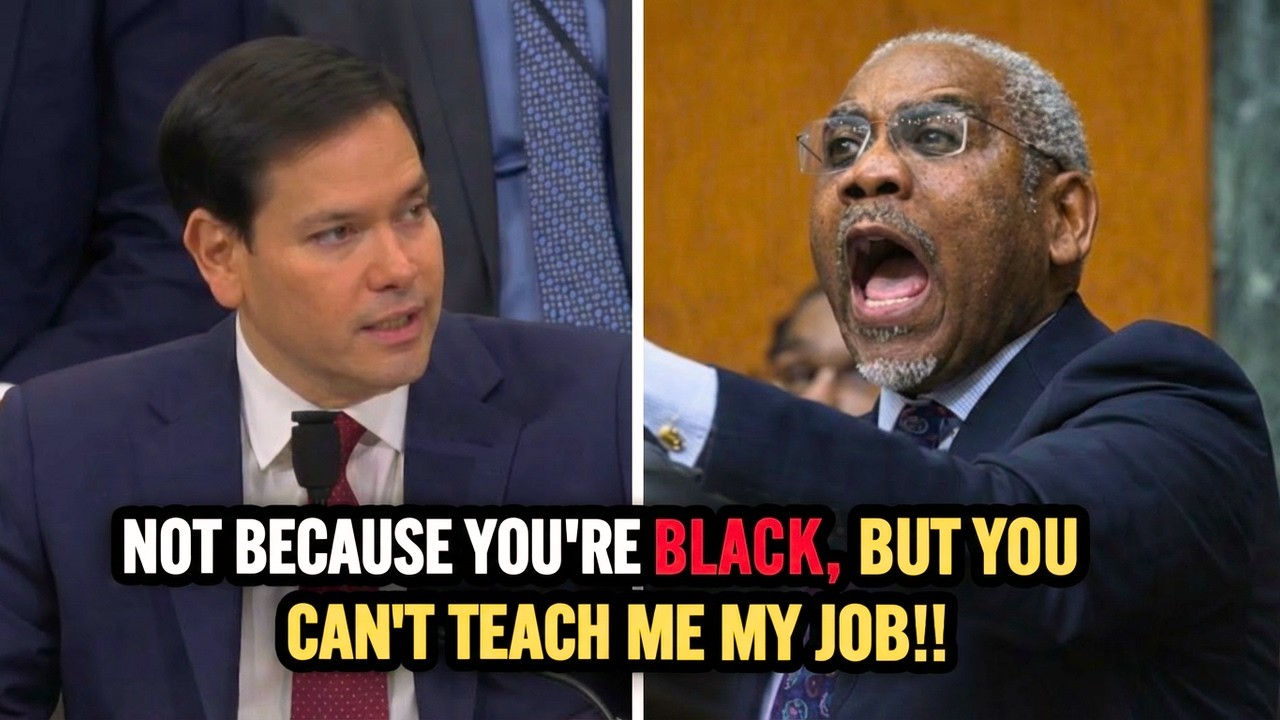 Marco Rubio CALMLY SCHOOLS ARROGANT Democrat Congressman During FIERY Hearing