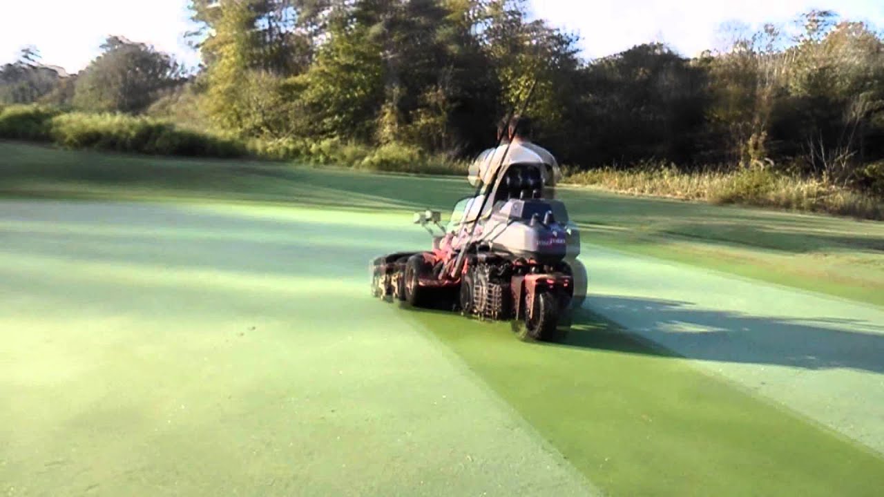 Golf course greens and grounds: Mowing Greens with Toro Greensmaster 3150