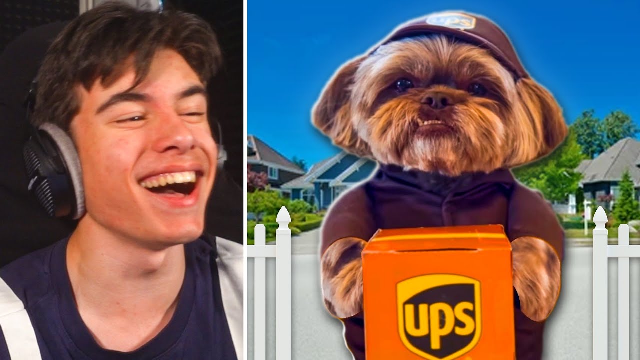Hond werkt als pakketbezorger... 🤣