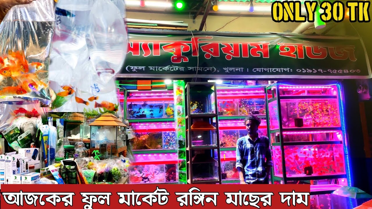 aquarium price in Bangladesh।aquarium fish price katabon। aquarium fish price in Bangladesh।aquarium