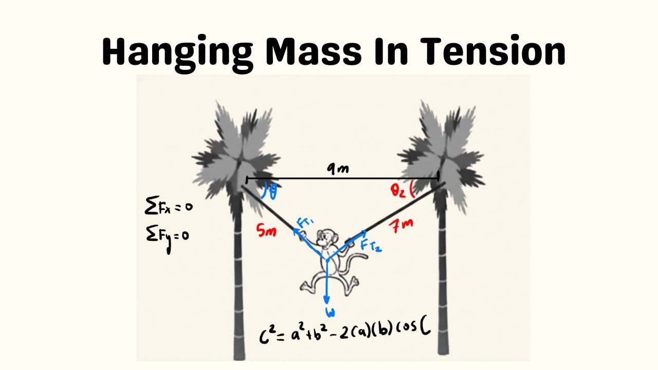 Mass Hanging by 2 Ropes | 2D-Equilibrium | Physics & Calculus