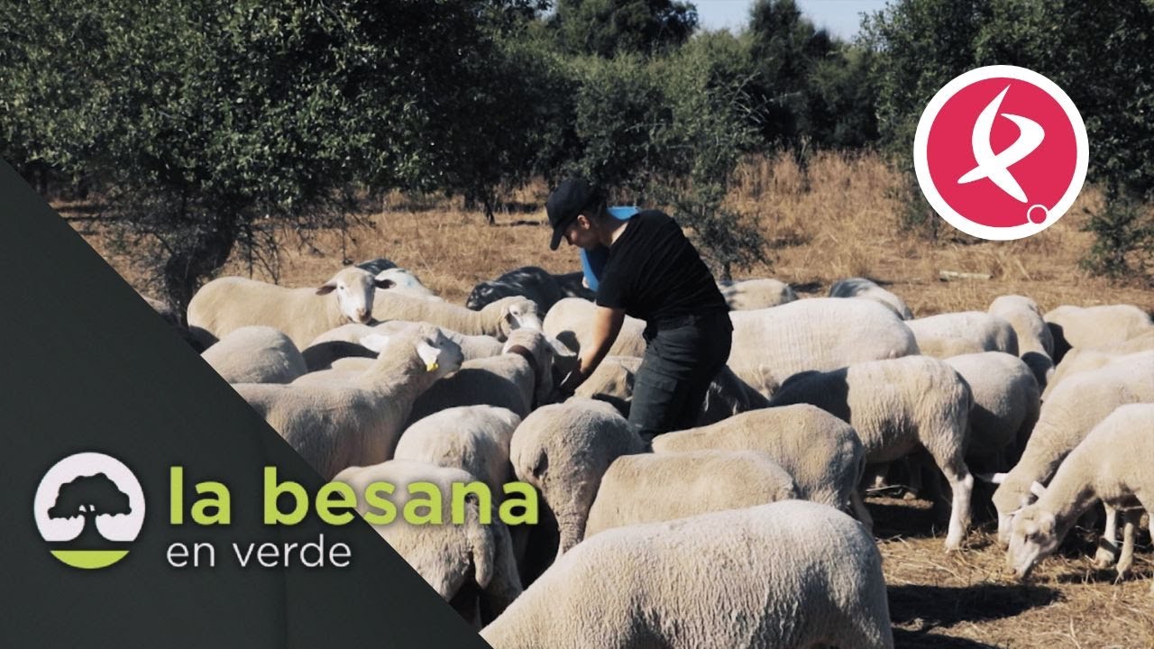 Mujeres para el futuro del campo | La besana en verde