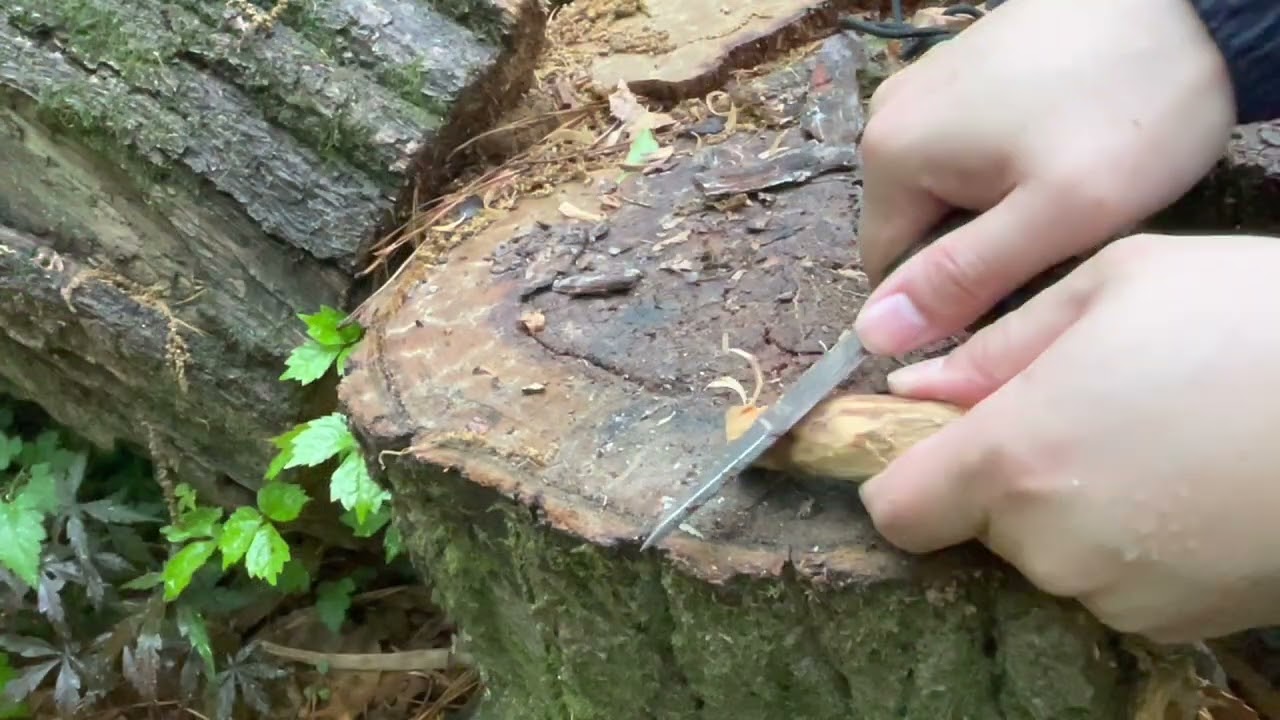 젖은 환경에서 불피우기(가장 좋은 자연 재료)