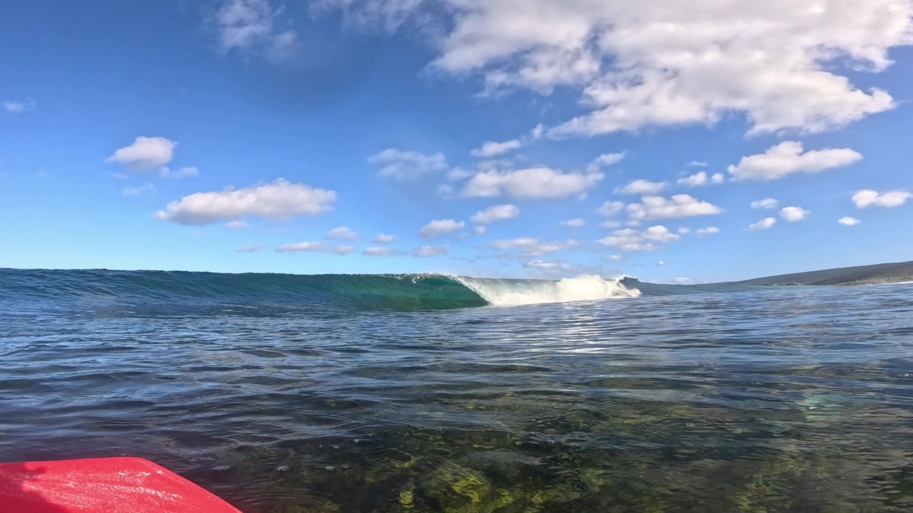 Quiet Morning on a Shallow Reef