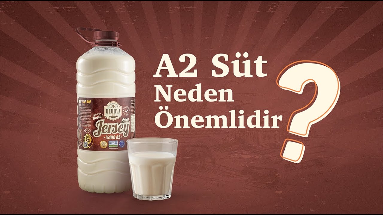 A2 Süt neden önemlidir?