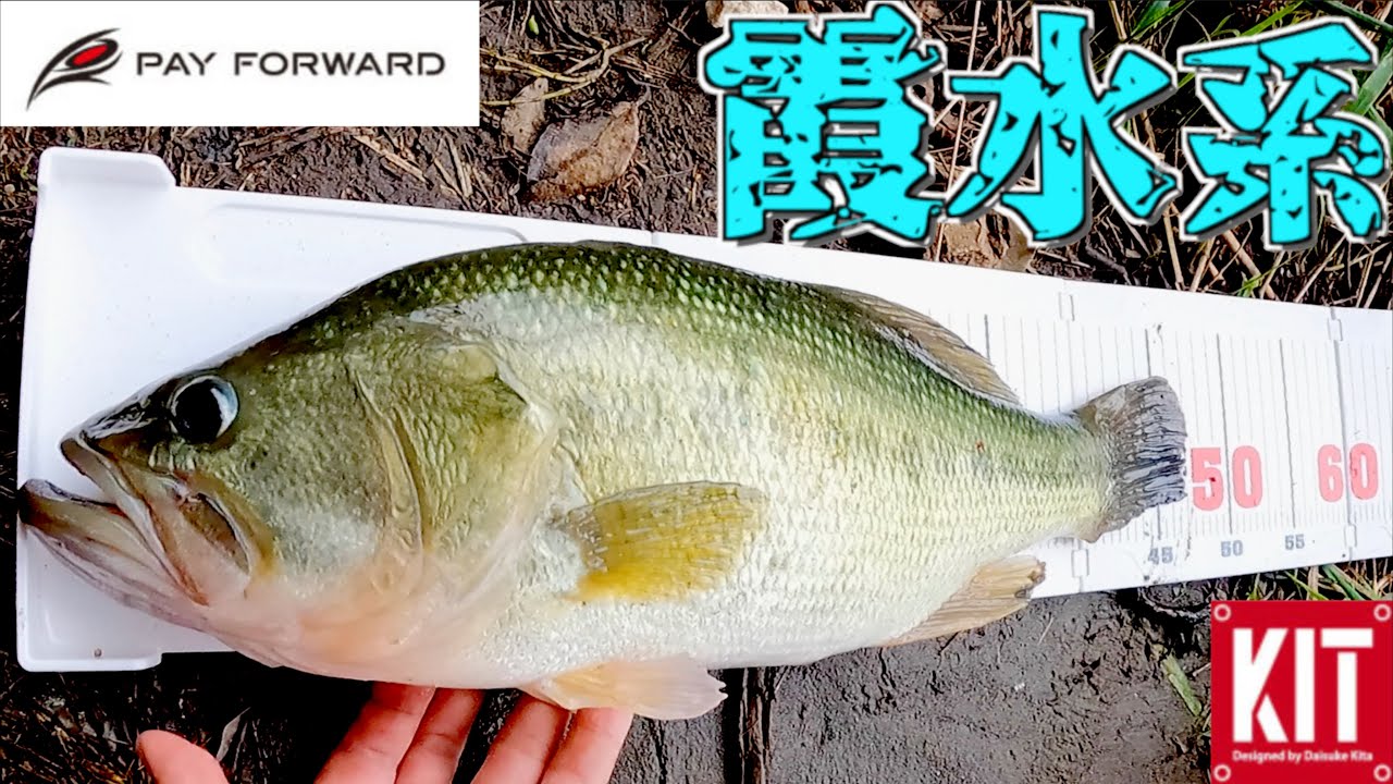 霞水系のハイクオリティ