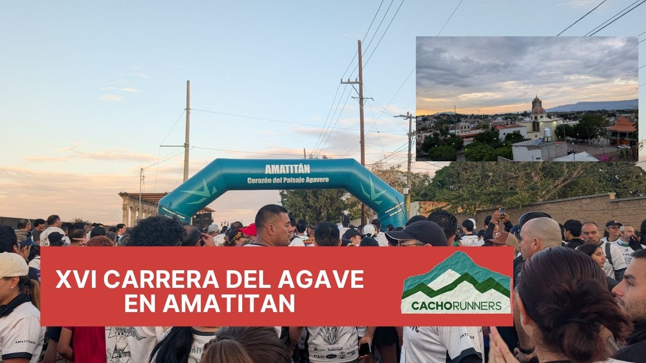 XVI Carrera del Agave Amatitán 2026: ¡Cachorunners en la Tierra del Tequila!