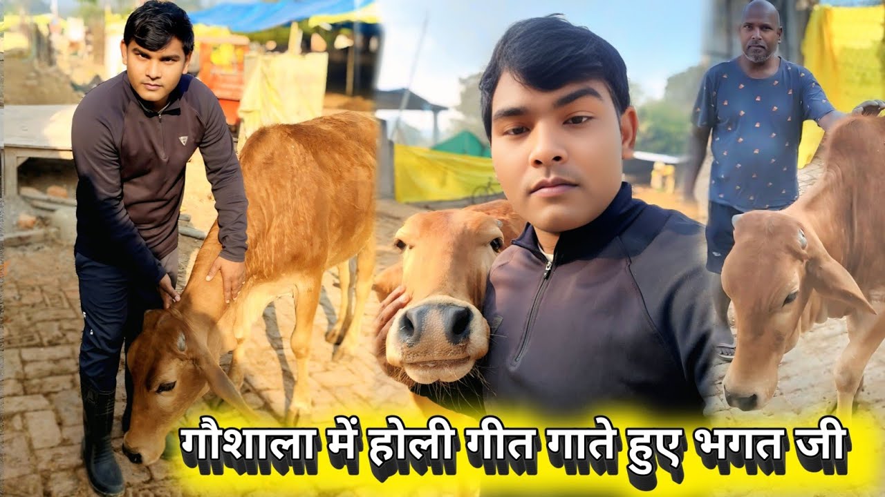 गौशाला में होली गीत गाते भगत जी 🙏🙏🙏🙏🌹🌹🌹👍👍❤️❤️