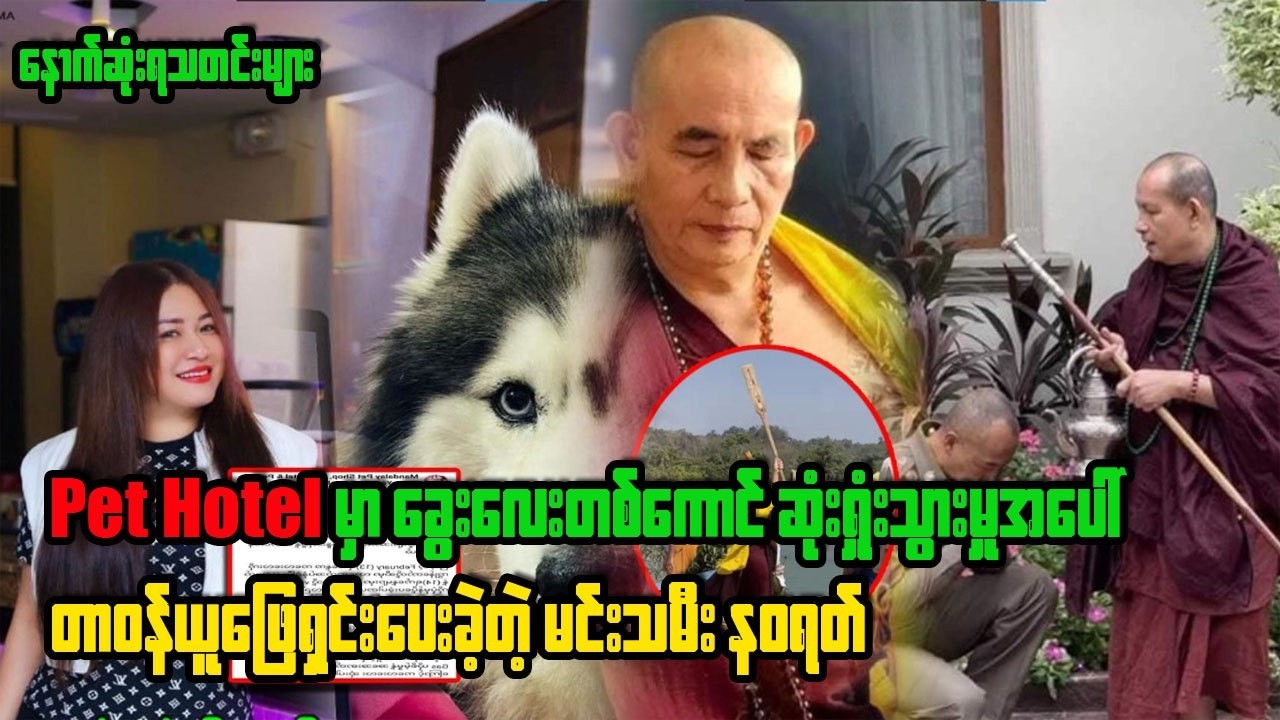 အဖေခင်လှိင်သမက် တော်ရမယ့် ထိပ်တန်းသူဌေးသားကို ချပြလာတဲ့ သဇင်ထူးမြင့်#သဇင်ထူးမြင့်