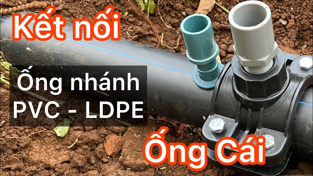 Chia sẻ cách chiết nước từ đường ống cái HDPE ra ống nhánh PVC và LDPE để tưới béc không lo xì, bung