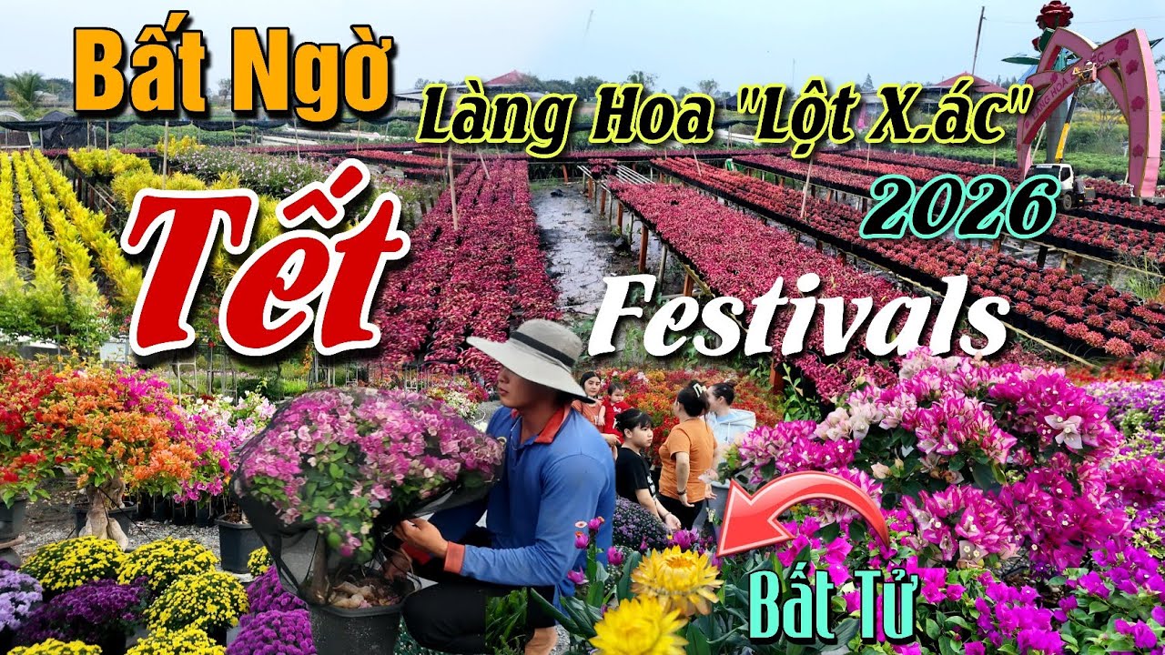 TẾT MIỀN TÂY 2026 : LÀNG HOA SA ĐÉC THAY ĐỔI NGOẠN MỤC ĐÓN FESTIVALS TRĂM HOA KHOE SẮC CHỜ KHÁCH